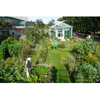 照片 法国(France) 巴黎(Paris) 巴黎植物园(Jardin des Plantes) 2007-08 134