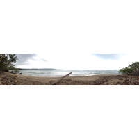 照片 哥斯达黎加(Costa Rica) 卡维塔(Cahuita) 2015-03 66