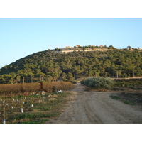 照片 以色列(Israel) 海法至特拉维夫(From Haifa to Tel Aviv) 2006-12 49