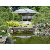 照片 日本(Japan) 京都(Kyoto) 二条城(Nijo Castle) 2010-06 15