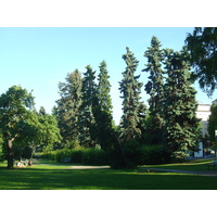 照片 瑞典(Sweden) 乌普萨拉(Uppsala) 2005-06 31