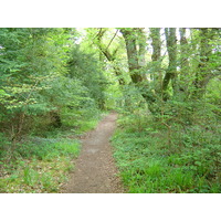 照片 爱尔兰(Ireland) 凯里郡(Kerry) 基拉尼国家公园(Killarney National Park) 马克罗斯湖(Muckross Lake) 2004-05 11