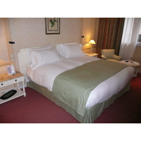 照片 西班牙(Spain) 马德里(Madrid) 西班牙广场索菲特酒店(Sofitel Plaza de Espana Hotel) 2007-09 7