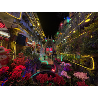 照片 中国(China) 丽江(Lijiang) 2026-01 276