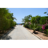 照片 埃及(Egypt) 沙姆沙伊赫(Sharm el Sheikh) 凯悦酒店(Hyatt Hotel) 2008-06 7