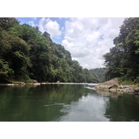 照片 哥斯达黎加(Costa Rica) 帕夸雷河(Pacuare River) 2015-03 75