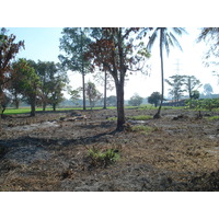 照片 泰国(Thailand) 彭世洛(Phitsanulok) 2008-01 19
