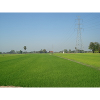 照片 泰国(Thailand) 彭世洛(Phitsanulok) 2008-01 3