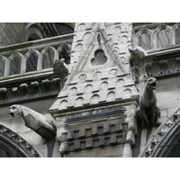 照片 法国(France) 巴黎(Paris) 巴黎圣母院(Notre Dame) 2007-05 149