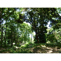 照片 日本(Japan) 东京(Tokyo) 滨离宫恩赐庭园(Hama rikyu Gardens) 2010-06 58