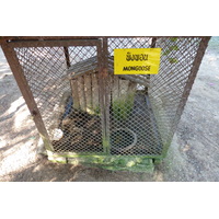 照片 泰国(Thailand) 清迈(Chiang Mai) 湄沙蛇园(Mae Sa Snake Farm) 2010-12 77