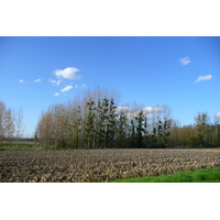 照片 法国(France) 昂布瓦斯(Amboise) 昂布瓦斯至布卢瓦公路(Amboise to blois road) 2008-04 41