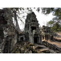 照片 柬埔寨(Cambodia) 暹粒(Siem Reap) 塔布茏寺(Ta Prohm) 2023-01 67