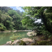 照片 哥斯达黎加(Costa Rica) 帕夸雷河(Pacuare River) 2015-03 159