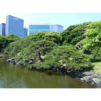 照片 日本(Japan) 东京(Tokyo) 滨离宫恩赐庭园(Hama rikyu Gardens) 2010-06 60