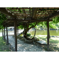 照片 日本(Japan) 东京(Tokyo) 滨离宫恩赐庭园(Hama rikyu Gardens) 2010-06 54