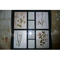 照片 法国(France) 塔拉斯孔(Tarascon) 塔拉斯孔城堡(Tarascon Castle) 2008-04 15