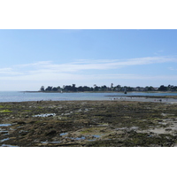 照片 法国(France) 蒂迪岛(Ile Tudy) 2008-07 3
