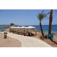 照片 埃及(Egypt) 沙姆沙伊赫(Sharm el Sheikh) 凯悦酒店(Hyatt Hotel) 沙姆沙伊赫凯悦海滩(Hyatt Sharm el Sheikh Beach) 2008-06 47