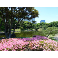 照片 日本(Japan) 东京(Tokyo) 滨离宫恩赐庭园(Hama rikyu Gardens) 2010-06 82