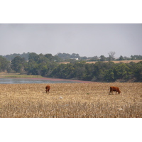照片 南非(South Africa) 内尔斯普雷特至约翰内斯堡公路(Nelspruit to Johannesburg road) 2008-09 79