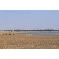 照片 南非(South Africa) 内尔斯普雷特至约翰内斯堡公路(Nelspruit to Johannesburg road) 2008-09 70
