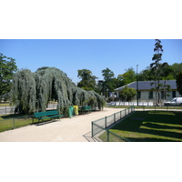 照片 法国(France) 巴黎(Paris) 米埃特门(Porte de la Muette) 2007-08 45