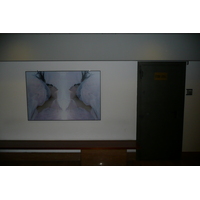 照片 意大利(Italy) 罗马(Rome) 里帕酒店(Ripa Hotel) 2007-11 25