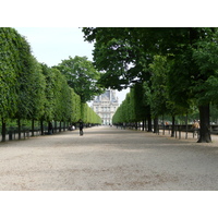 照片 法国(France) 巴黎(Paris) 杜乐丽花园(Garden of Tuileries) 2007-05 203