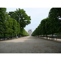 照片 法国(France) 巴黎(Paris) 杜乐丽花园(Garden of Tuileries) 2007-05 242