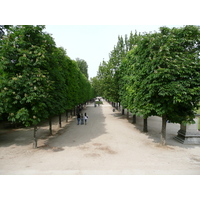 照片 法国(France) 巴黎(Paris) 杜乐丽花园(Garden of Tuileries) 2007-05 291