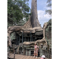 照片 柬埔寨(Cambodia) 暹粒(Siem Reap) 塔布茏寺(Ta Prohm) 2023-01 78