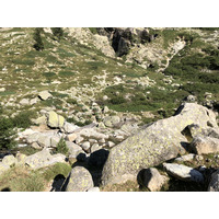 照片 法国(France) 科西嘉岛(Corsica) 雷斯托尼卡山谷(La Restonica) 2020-07 42