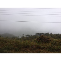 照片 巴拿马(Panama) 戴维至博卡斯德尔托罗(David to Bocas del toro) 2015-03 30
