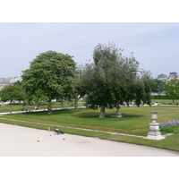 照片 法国(France) 巴黎(Paris) 杜乐丽花园(Garden of Tuileries) 2007-05 270