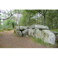 照片 法国(France) 普卢阿尔内勒(Plouharnel) 2008-07 19