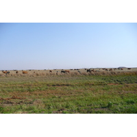 照片 南非(South Africa) 内尔斯普雷特至约翰内斯堡公路(Nelspruit to Johannesburg road) 2008-09 107