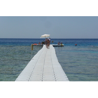 照片 埃及(Egypt) 沙姆沙伊赫(Sharm el Sheikh) 凯悦酒店(Hyatt Hotel) 沙姆沙伊赫凯悦海滩(Hyatt Sharm el Sheikh Beach) 2008-06 14