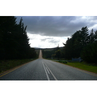 照片 南非(South Africa) 赫曼努斯至克尼斯纳公路(Harmanus to Knysna road) 2008-09 27