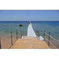 照片 埃及(Egypt) 沙姆沙伊赫(Sharm el Sheikh) 凯悦酒店(Hyatt Hotel) 沙姆沙伊赫凯悦海滩(Hyatt Sharm el Sheikh Beach) 2008-06 17