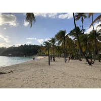 照片 瓜德罗普(Guadeloupe) 卡拉维尔海滩(La Caravelle Beach) 2021-02 97