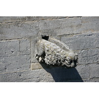 照片 法国(France) 塔拉斯孔(Tarascon) 塔拉斯孔城堡(Tarascon Castle) 2008-04 102