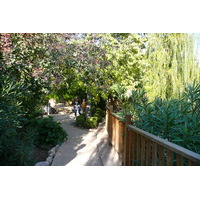 照片 法国(France) 尼斯(Nice) 凤凰公园(Phoenix Parc) 2007-10 83