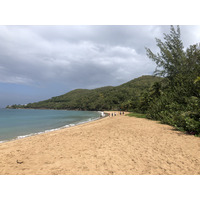 照片 瓜德罗普(Guadeloupe) 大湾海滩(Grande Hanse Beach) 2021-02 0