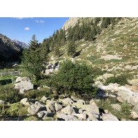 照片 法国(France) 科西嘉岛(Corsica) 雷斯托尼卡山谷(La Restonica) 2020-07 72