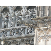 照片 德国(Germany) 科隆(Cologne) 大教堂(Cathedral) 2007-05 185