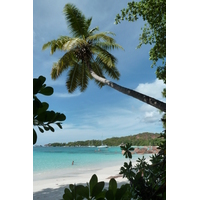 照片 塞舌尔(Seychelles) 2011-10 84