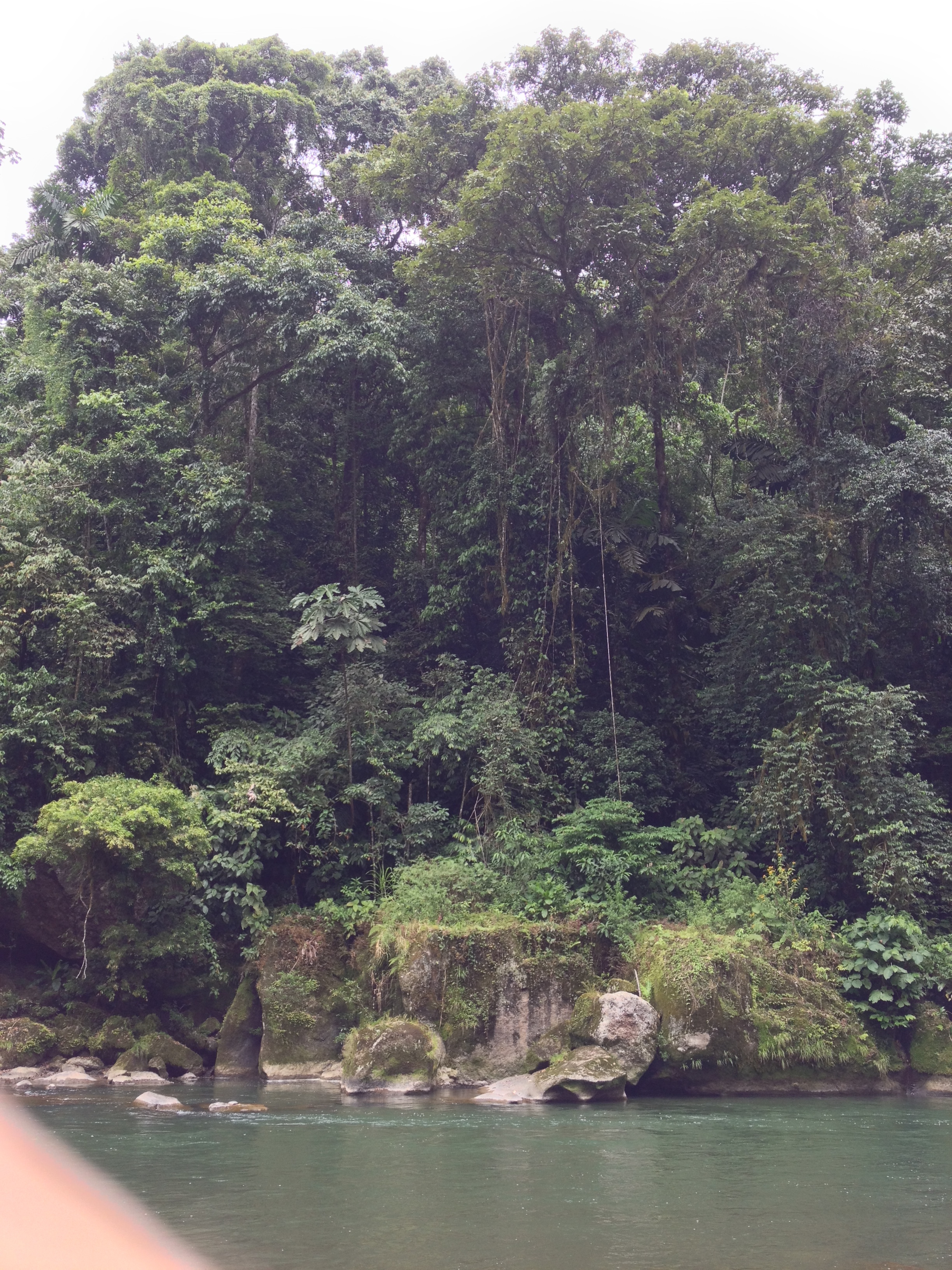 Photo Costa Rica Rivière Pacuare 2015-03 45