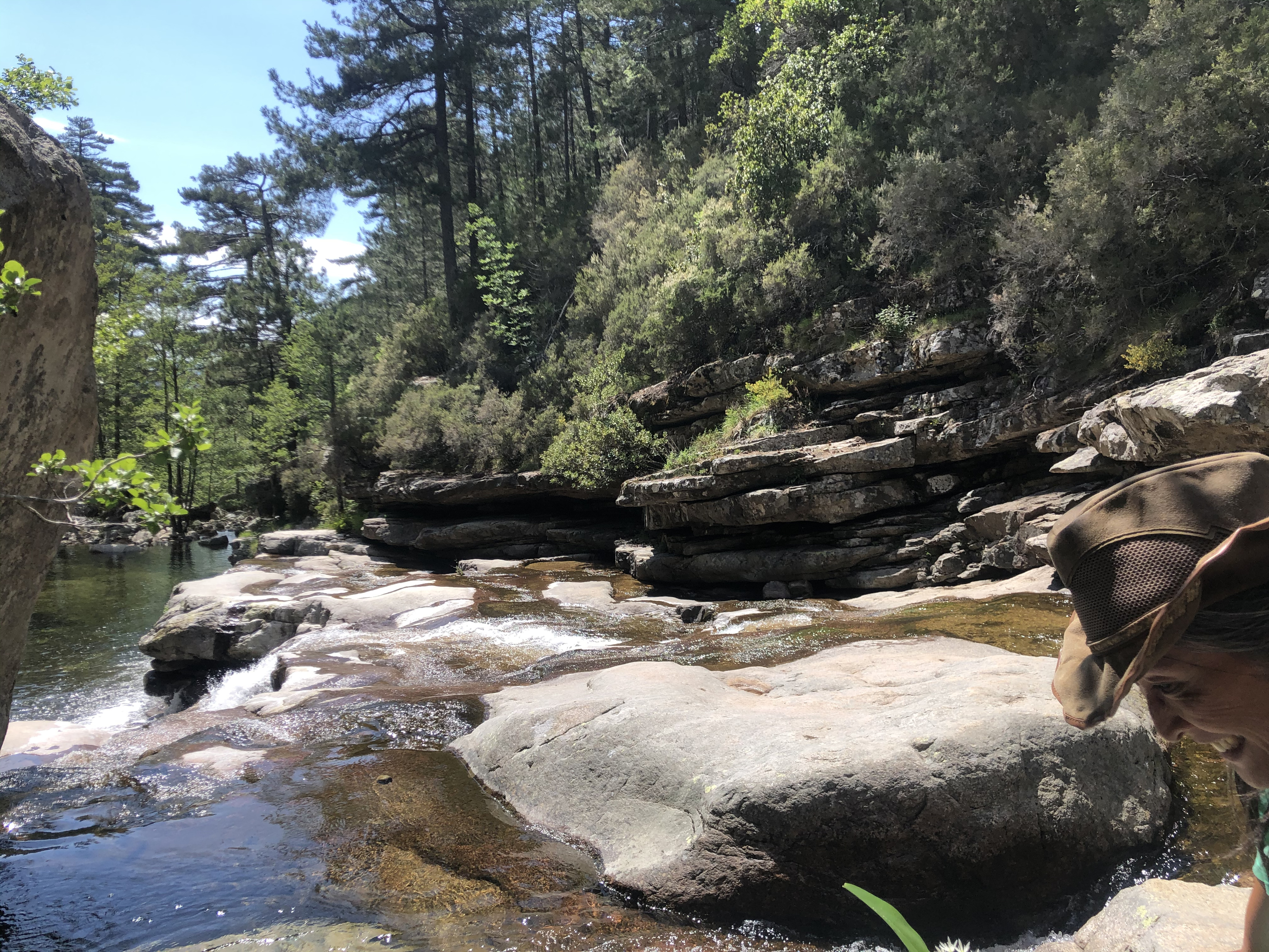Photo France Corse Forêt d'Aïtone 2021-06 30