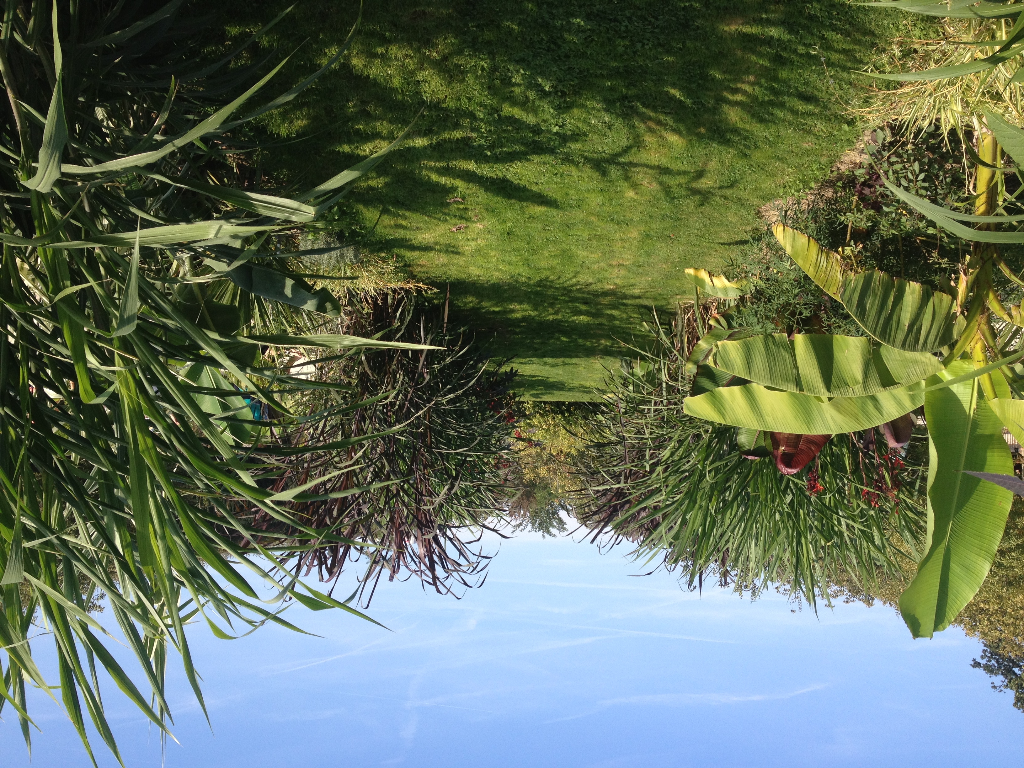 Photo France Paris Jardin des Plantes 2014-09 26